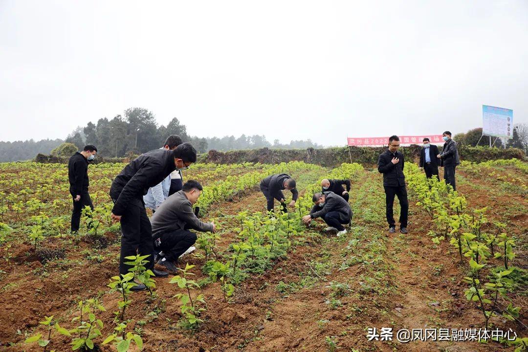 贵州凤冈琊川美图绽放，魅力风光尽收眼底