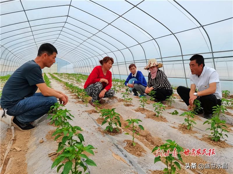 灵台新集水库喜报频传，建设步伐稳健向前