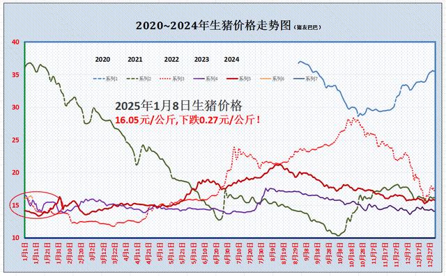 全国生猪行情实时速递