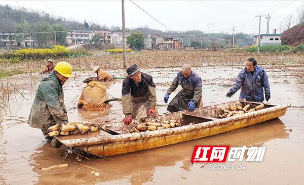 衡南县三塘镇未来蓝图大揭秘：全新规划惊艳亮相