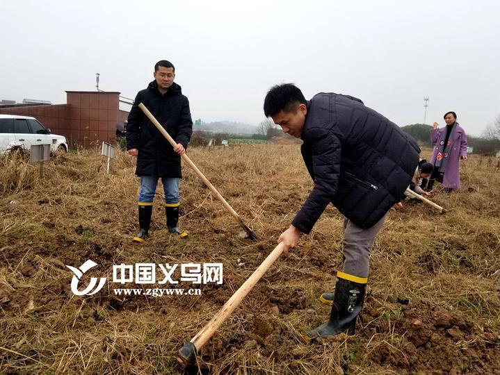 最新揭晓：义乌地区食堂外包资讯汇总