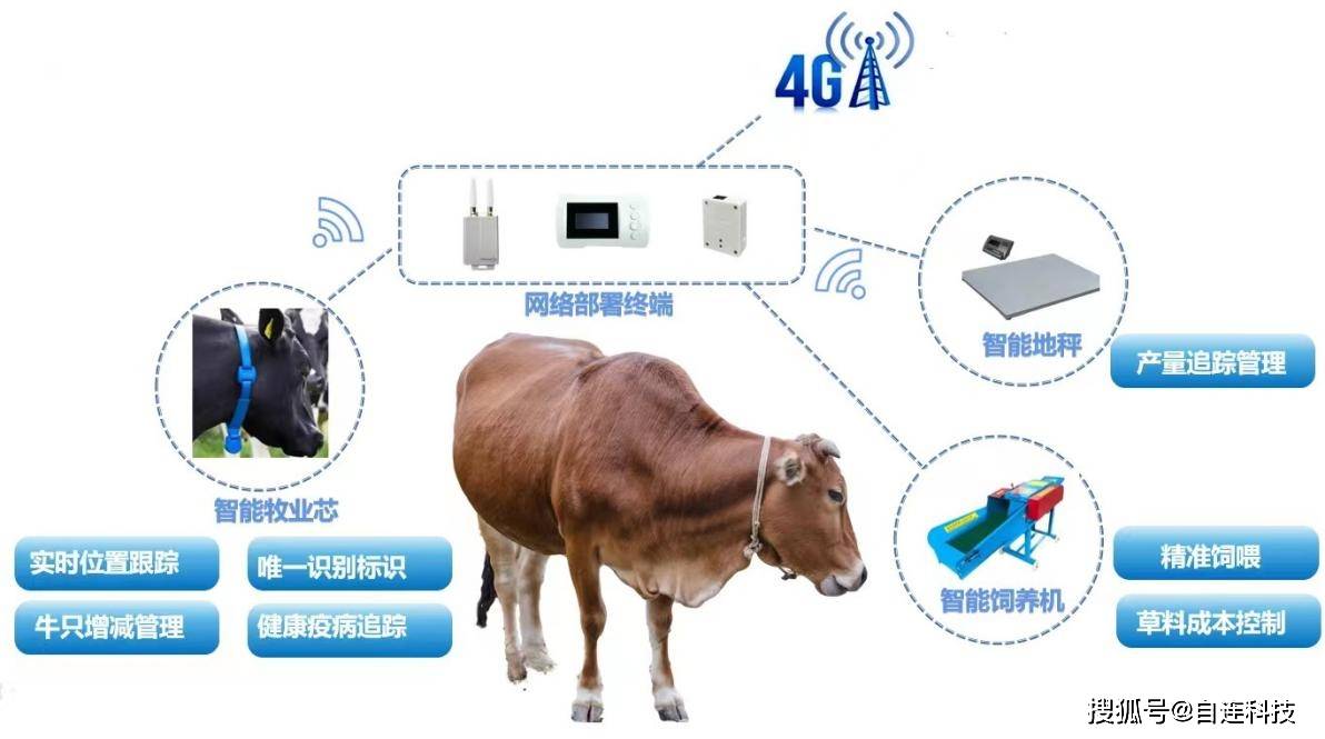 搜牧通全新升级版：尽享智能牧业新体验