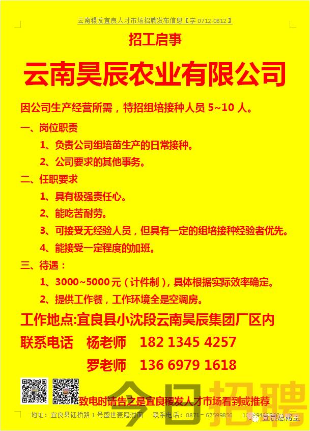 寻甸地区最新招聘信息汇总，火热招工中！