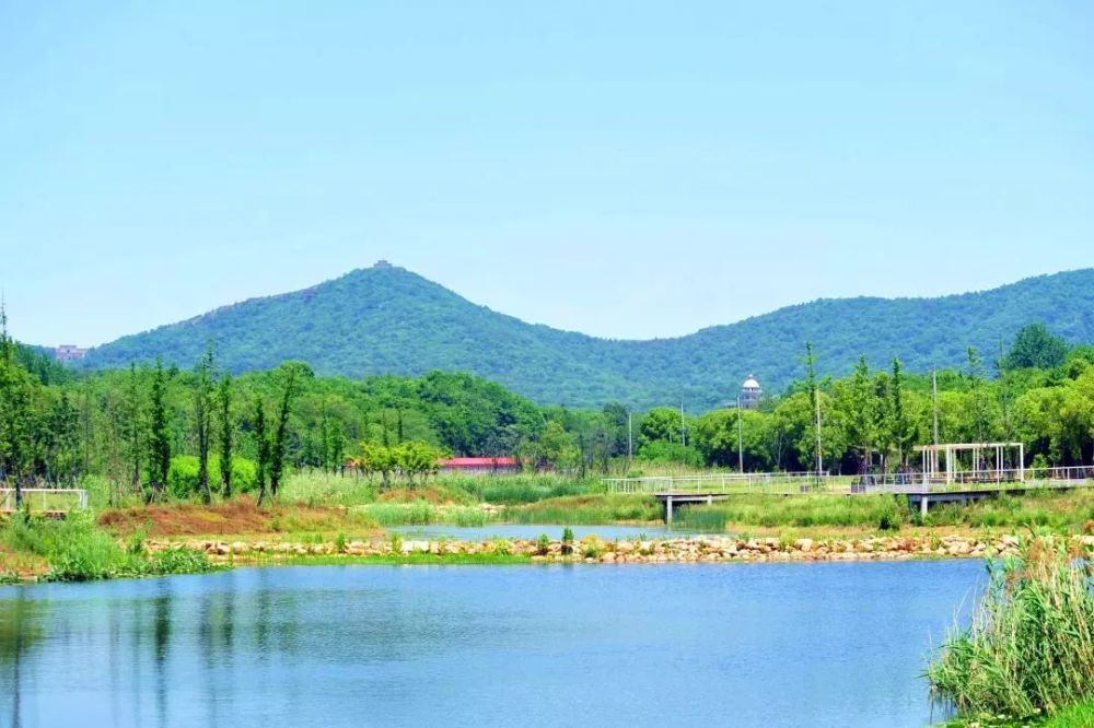 探寻南京浦口区最新热门野钓胜地