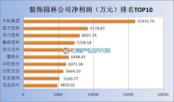 2025年度卫康公司全新奖金体系解析与亮点一览