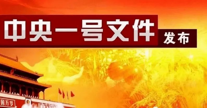 最新发布：中共中央权威文件解读与前瞻